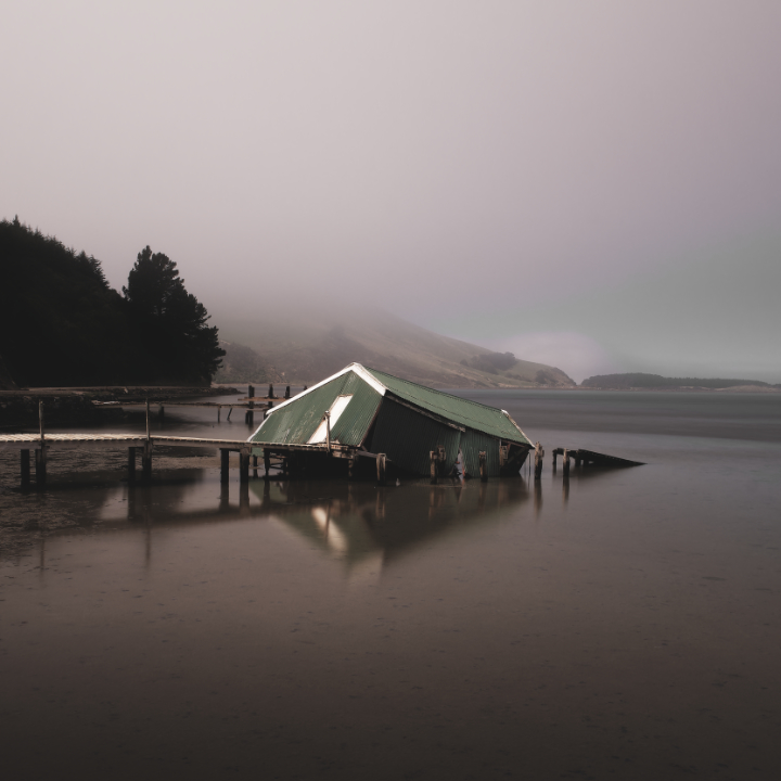 Sunken boatshed at Hoopers Inlet, New Zealand.