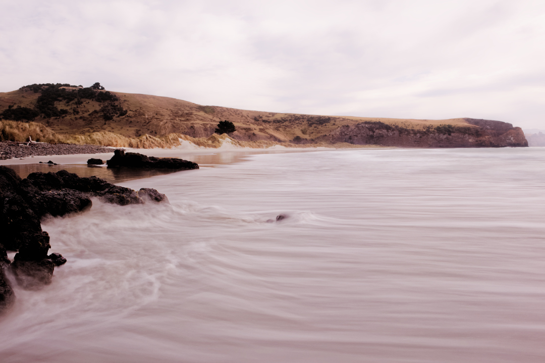 Kaikai Beach, Otago, New Zealand.