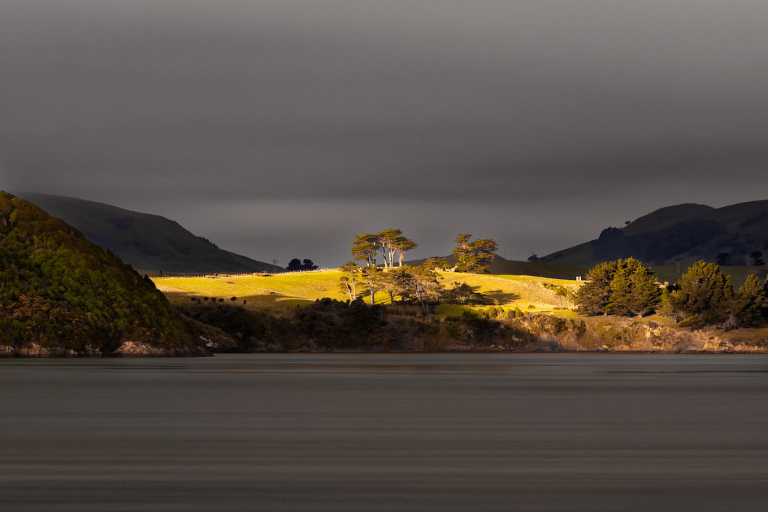 Quarantine Island, Otago, New Zealand.