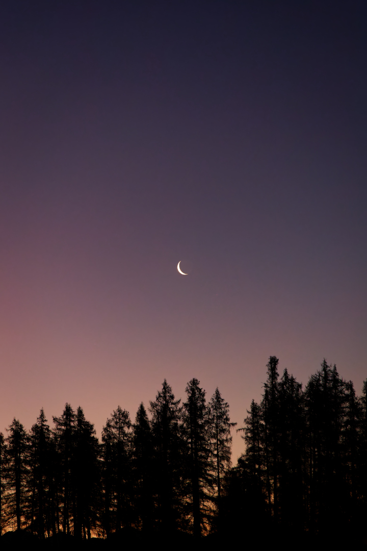 Crescent moon at sunset.