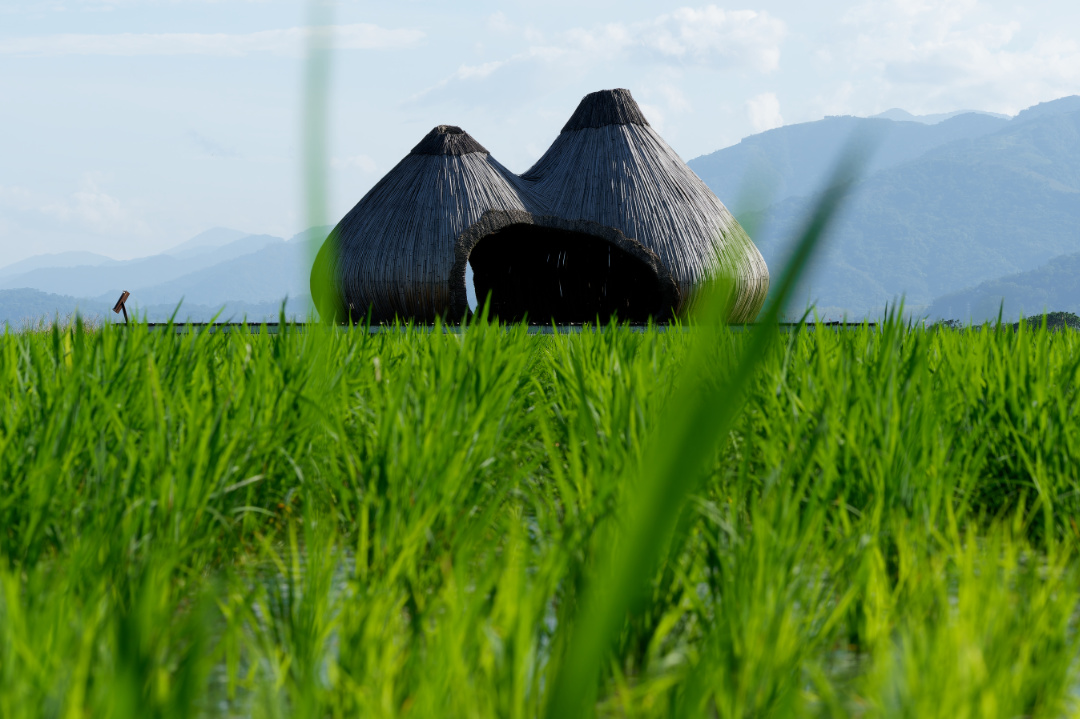 Incubation sculpture in a rice field, Taitung, Taiwan.